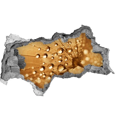 Hole in the wall decal Drops on a leaf