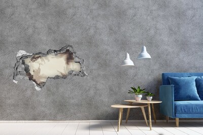 Hole in the wall decal Palm trees