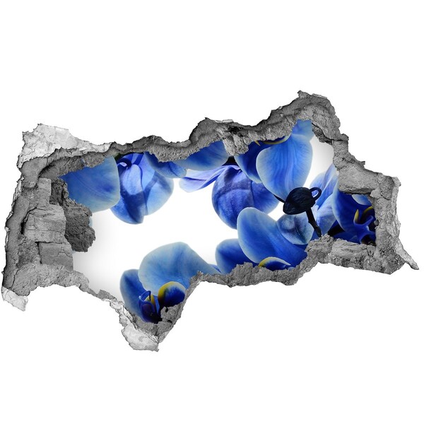 Hole wall sticker A flower paradise behind the wall