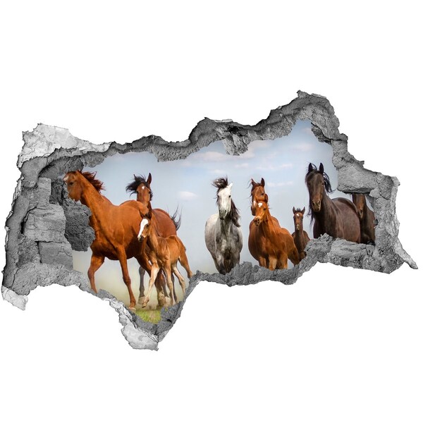 Hole wall sticker Galloping horses in the meadow