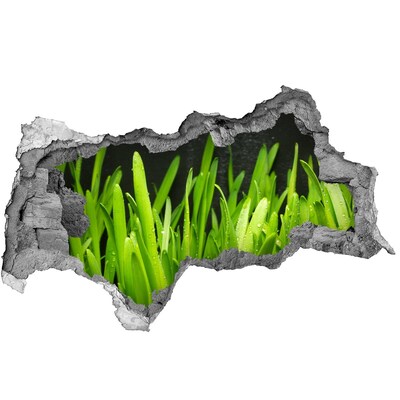 Hole wall sticker Grass