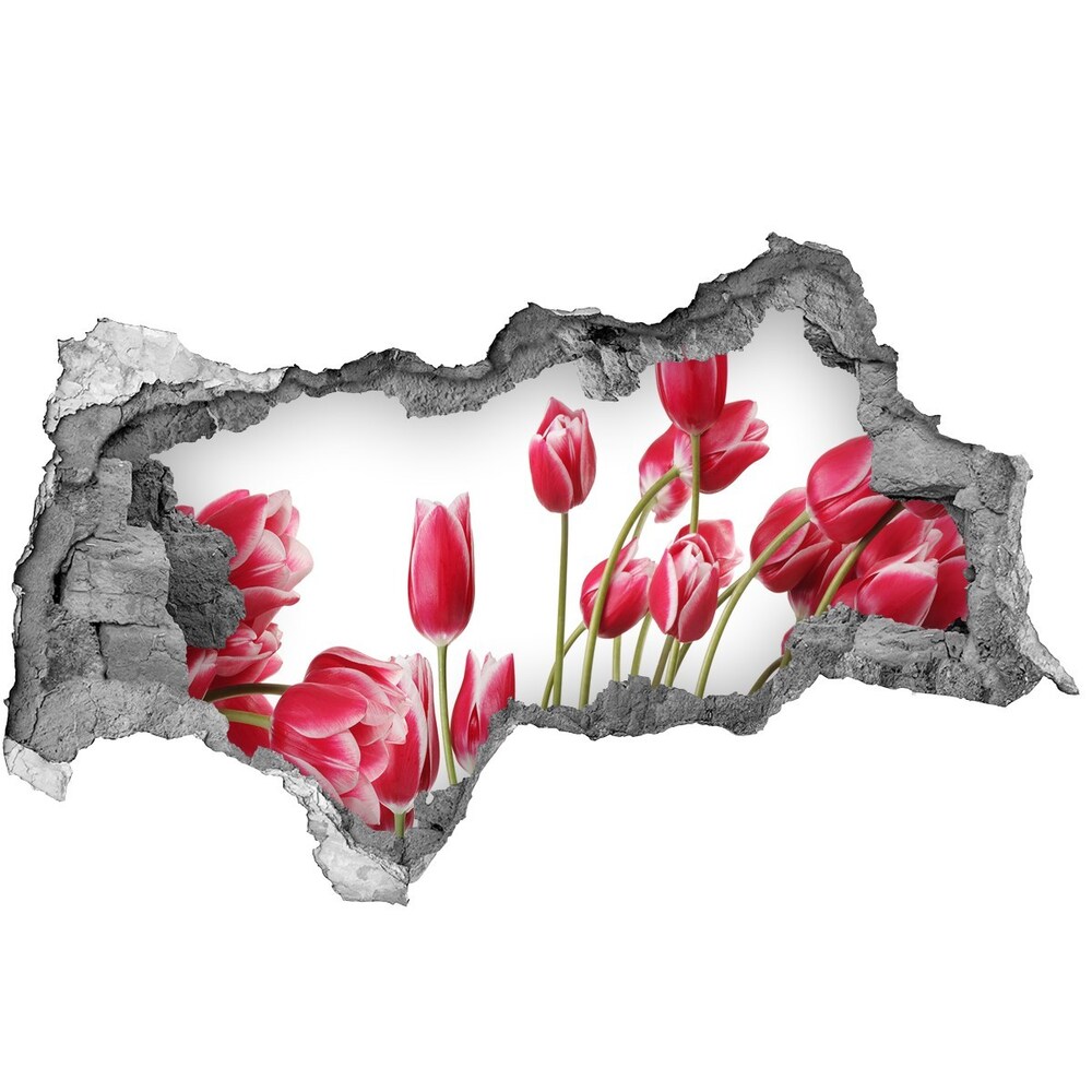 Hole in the wall decal Red tulips