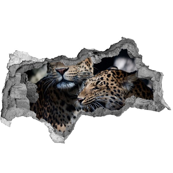 Hole in the wall sticker Two leopards