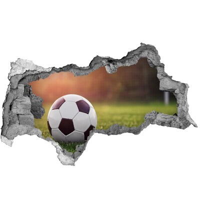 Hole wall sticker Football gate on the pitch