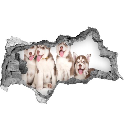 Hole wall sticker Husky puppies behind a hole in the wall