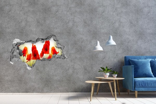 Hole wall sticker Maki wall mural