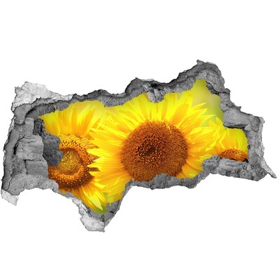 Hole wall sticker Sunflower in concrete