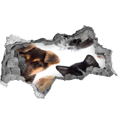 Hole wall sticker Pets