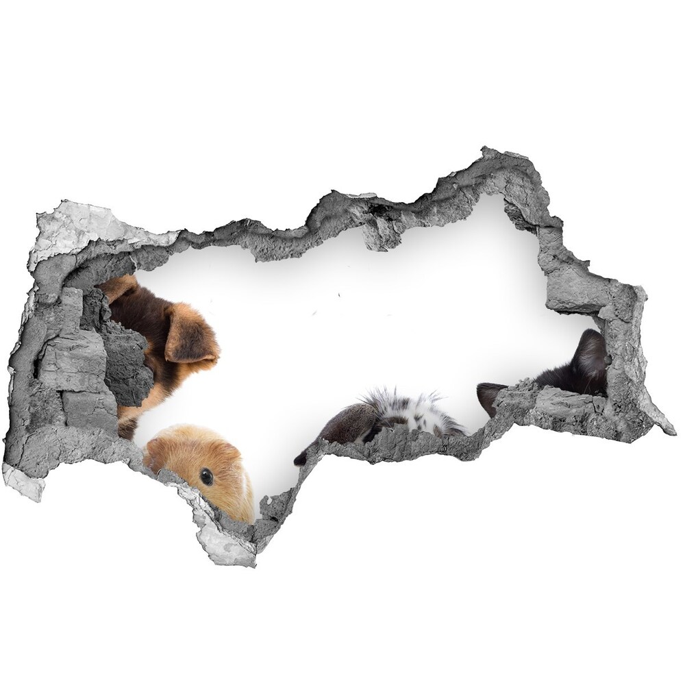 Hole in the wall sticker Pets