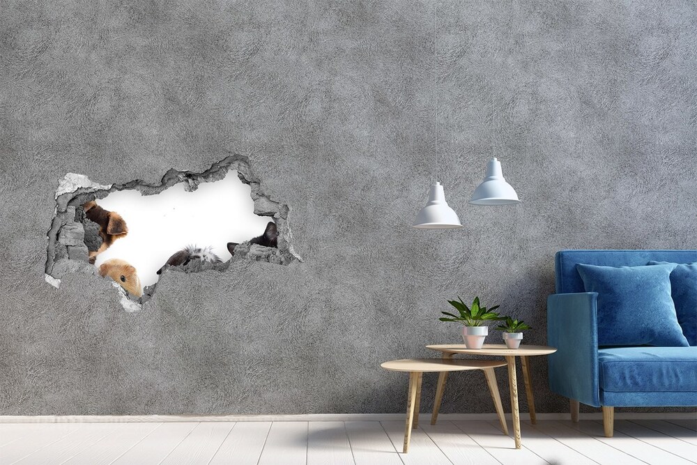 Hole in the wall sticker Pets