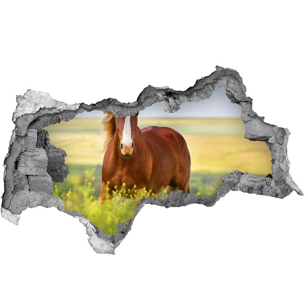 Hole wall sticker A horse in the meadow