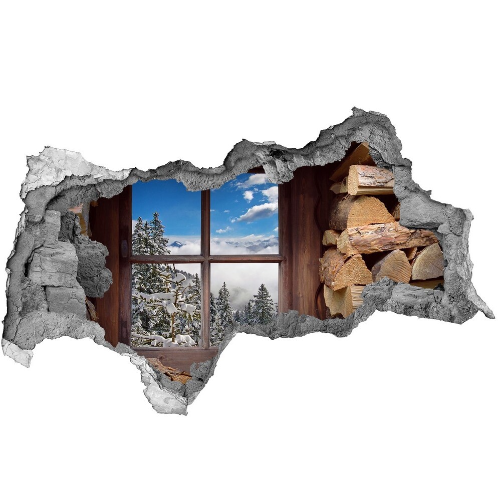 Hole in the wall decal Winter outside the window