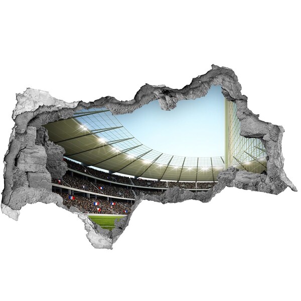 Hole wall sticker A stadium full of emotions