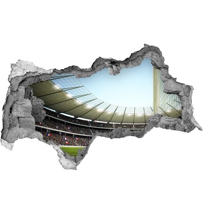 Hole wall sticker A stadium full of emotions