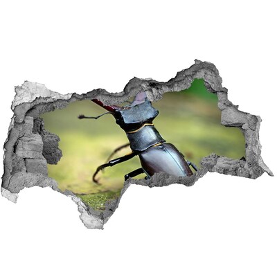 Hole in the wall sticker Creature from the forest