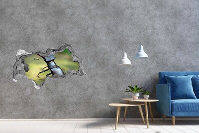 Hole in the wall sticker Beetle