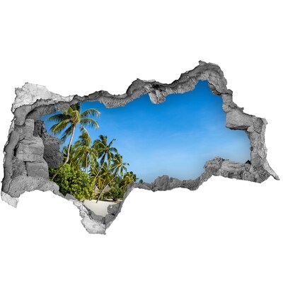 Hole wall sticker Tropical beach with palm trees