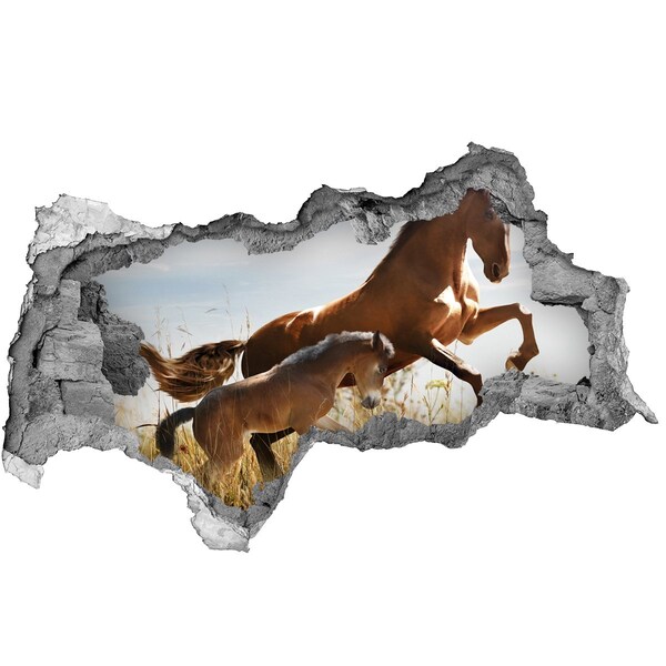 Hole in the wall decal Horses in the meadow