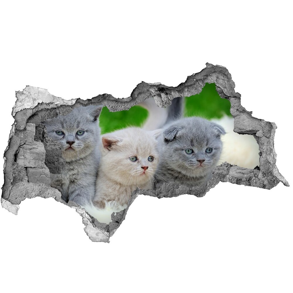 Hole in the wall sticker Three cats on the blanket