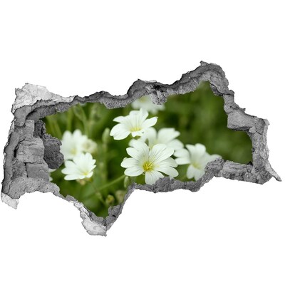 Hole in the wall decal Spring flowers