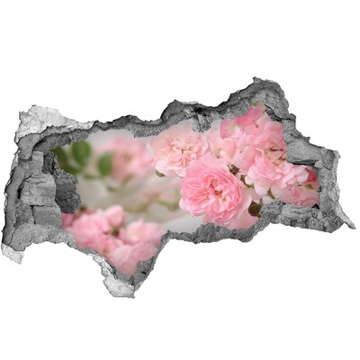 Hole in the wall sticker Wild roses