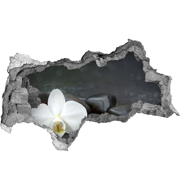 Hole in the wall sticker Flower and stones against the background of water
