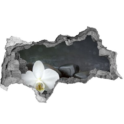 Hole in the wall sticker Flower and stones against the background of water