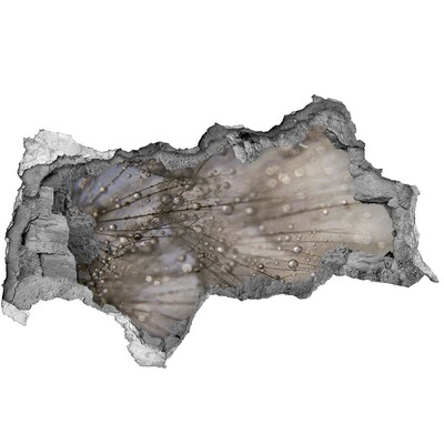 Hole in the wall sticker Water drops on glass