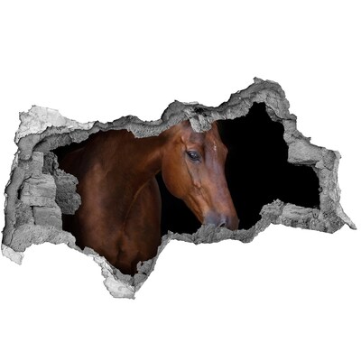 Hole wall sticker Brown horse