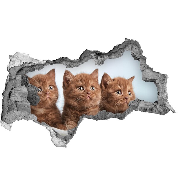 Hole in the wall decal Kittens behind the wall