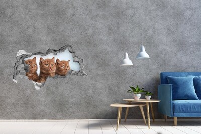Hole in the wall decal Kittens behind the wall
