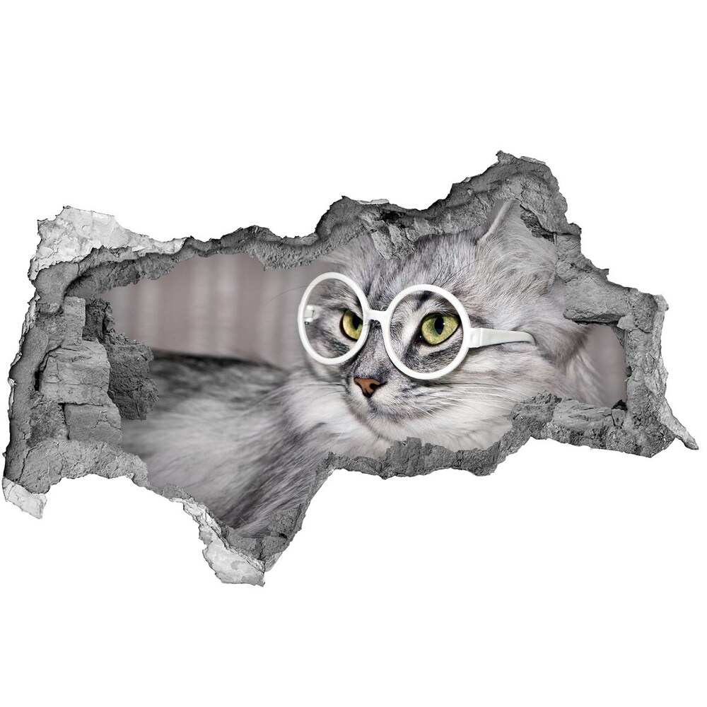 Hole wall sticker Cat with glasses