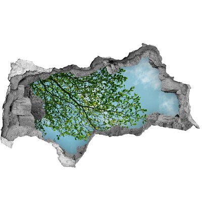 Hole wall sticker Green leaves under a blue sky