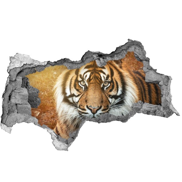 Hole in the wall sticker Tiger in a Hole in the Wall