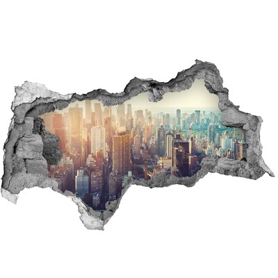 Hole wall sticker View from the hole in the wall