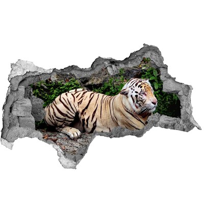 Hole wall sticker Tiger on the rock