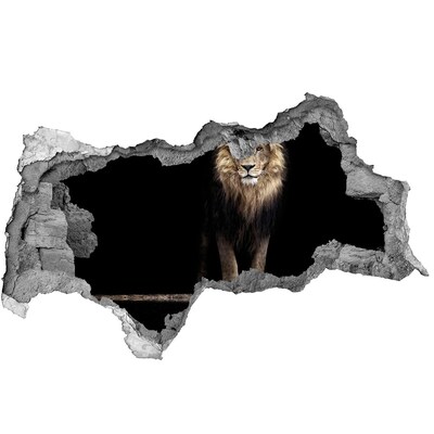 Hole in the wall decal Portrait of a lion