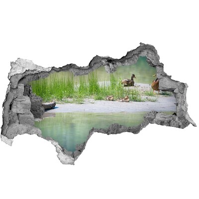 Hole wall sticker Pond with ducks