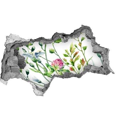 Hole wall sticker Flower garden behind the walls