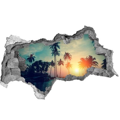 Hole wall sticker Sunset palm trees