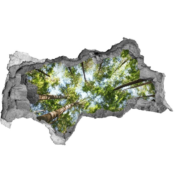 Hole in the wall decal View of the forest with blue sky