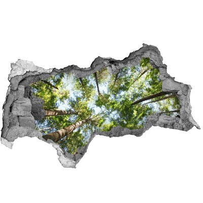 Hole in the wall decal View of the forest with blue sky