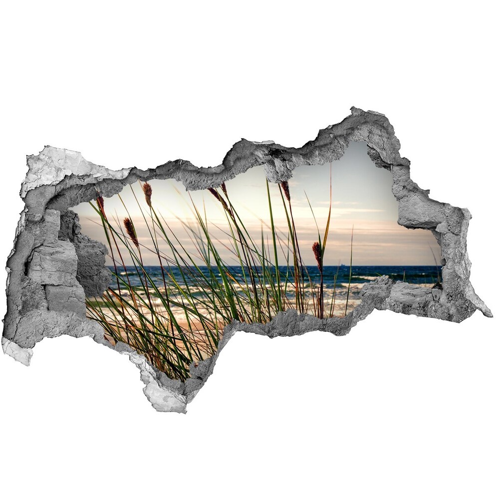 Hole wall sticker Coastal dunes