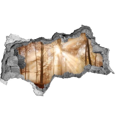 Hole in the wall sticker Forest Pass of the Sun