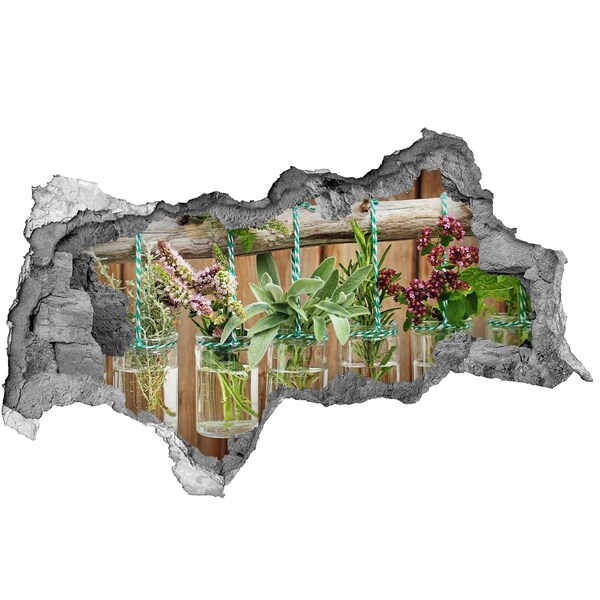 Hole wall sticker Herb garden in jars