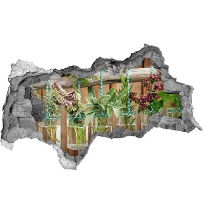 Hole wall sticker Herb garden in jars
