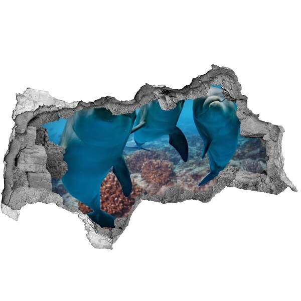 Hole in the wall sticker Dolphins in a coral reef
