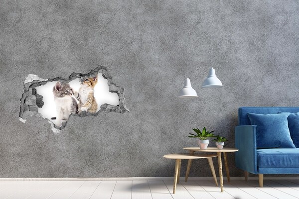 Hole wall sticker Two little cats