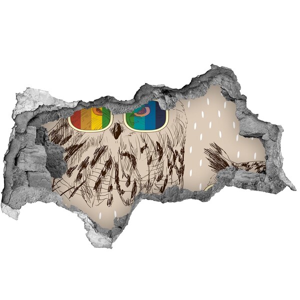 Hole in the wall decal Owl's Eye in a Hole in the Wall