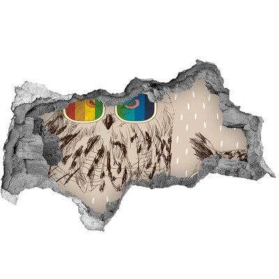 Hole in the wall decal Owl's Eye in a Hole in the Wall